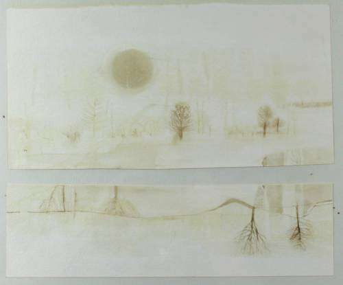 ML Villiers - Collage - Trees and Roots