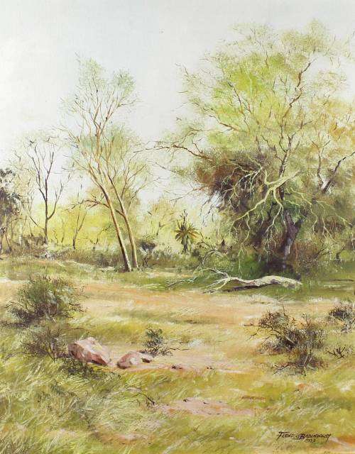 Francois Badenhorst - Landscape
