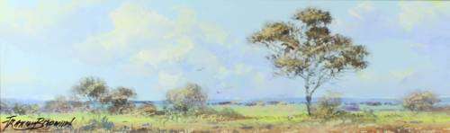 Francois Badenhorst - Landscape Nr1