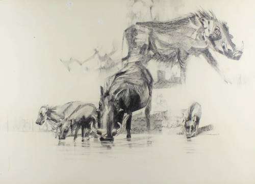 Mark Enslin - Warthogs