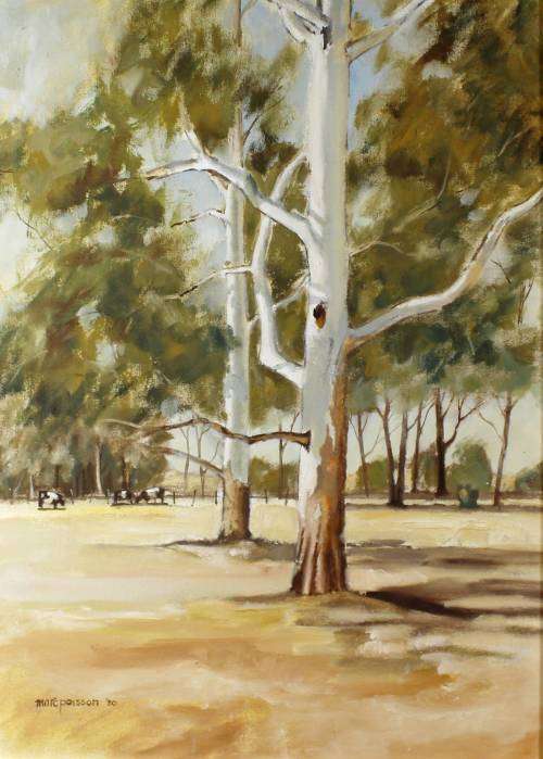 Marc Poisson - Blue gum trees with cattle