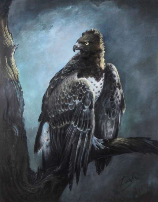 Lisinke - Eagle