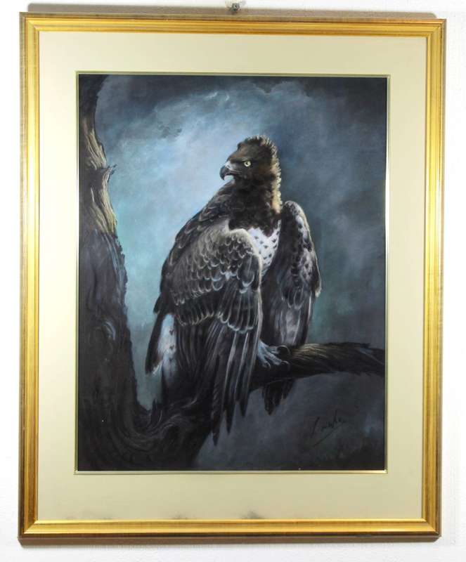 Lisinke - Eagle