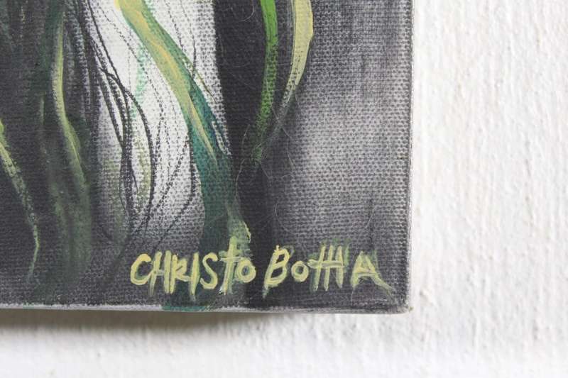 Christo Botha - Portrait
