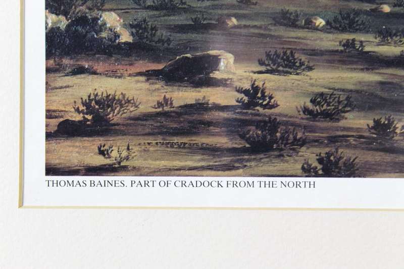 Thomas Baines - Part of Cradock from the North