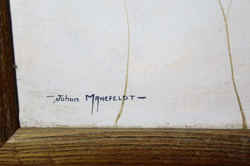 Johan Manefeldt - Kosmos
