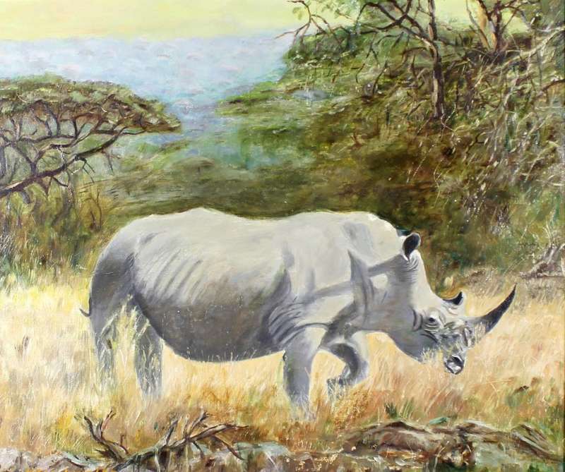 Neil Dingler - Rhino in the veld