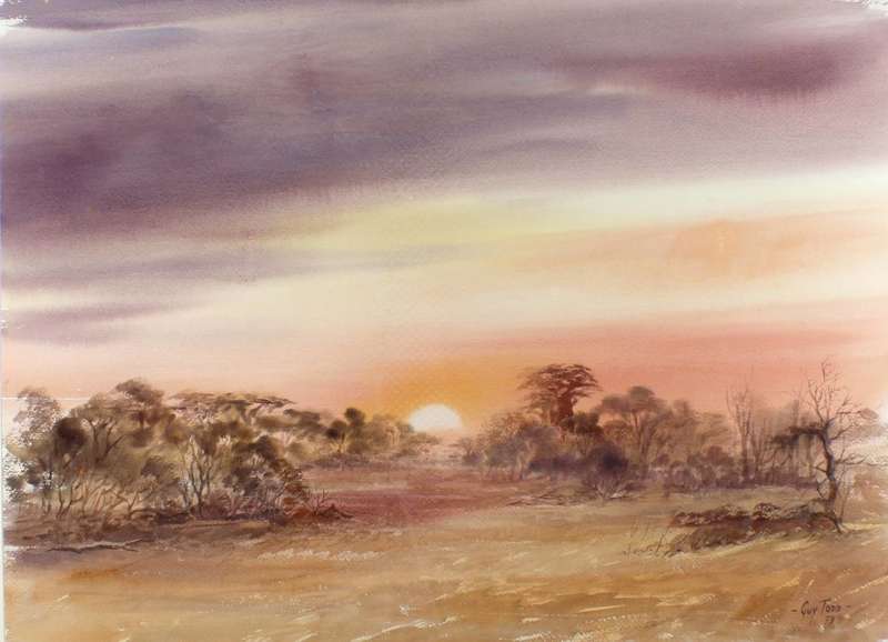 Guy Todd - Sunset over a landscape