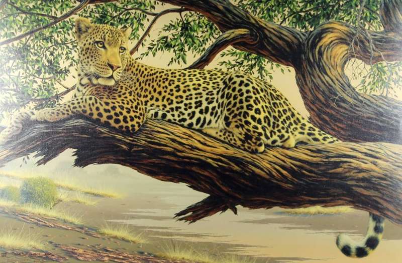 Brian Scott Dawkins - Leopard