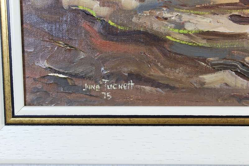 June Tucket - Junkets on the river