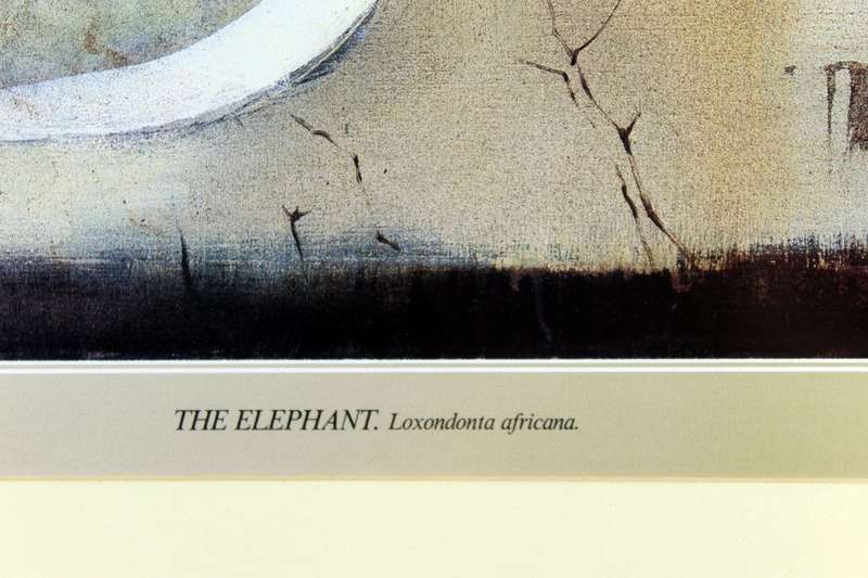 Keith Joubert - limited edition lithoprint - the elephant