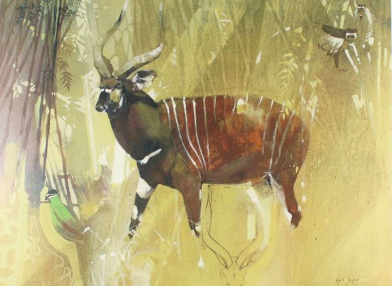 Keith Joubert - Limited edition lithoprint - The Bongo