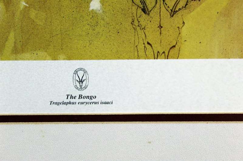 Keith Joubert - Limited edition lithoprint - The Bongo