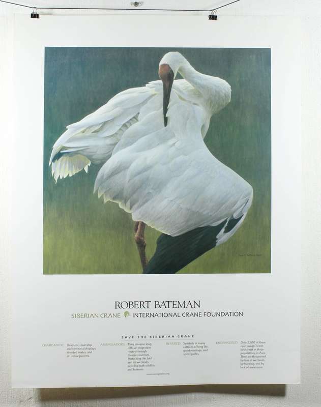 Poster - Robert Bateman - Siberian Crane