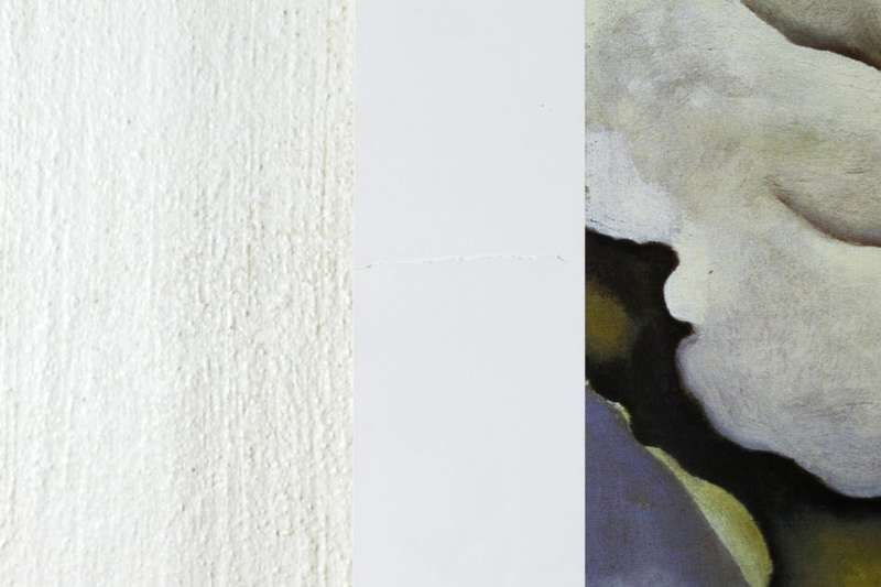 Poster - Georgia O`Keeffe - The portrait of thing