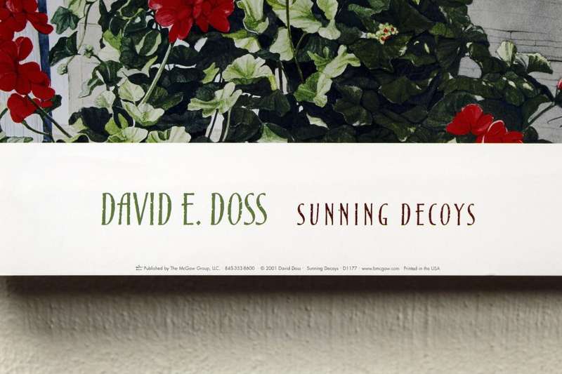Poster - David E Doss - Sunning decoys
