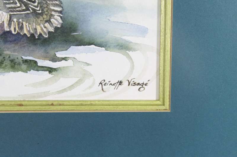 Reinette Visagie - Ducs