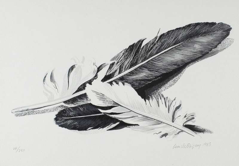 Leon de Bliquy - Feathers
