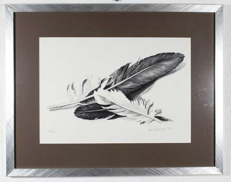 Leon de Bliquy - Feathers