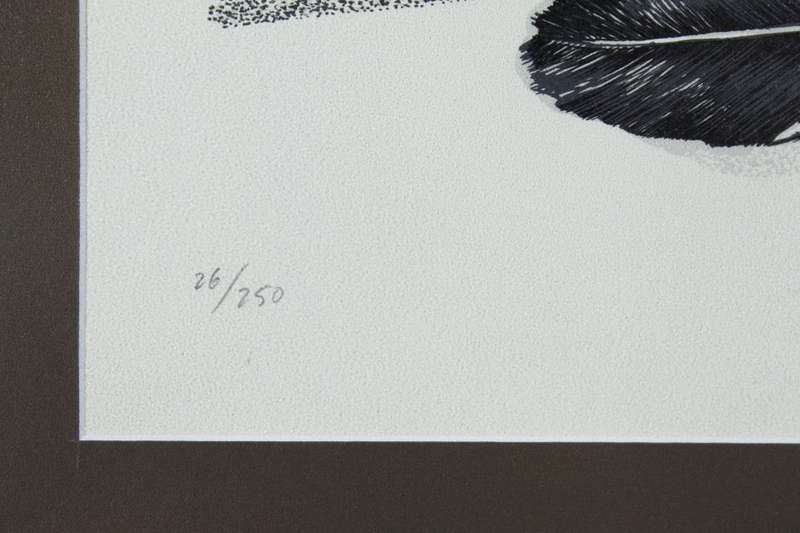 Leon de Bliquy - Feathers