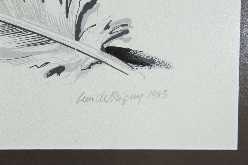 Leon de Bliquy - Feathers