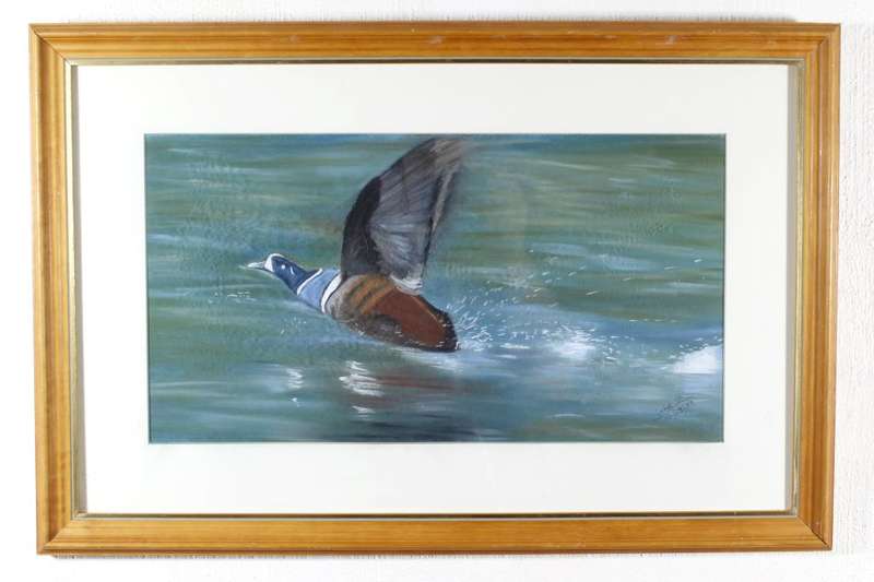 P Gehot - Duck in flight