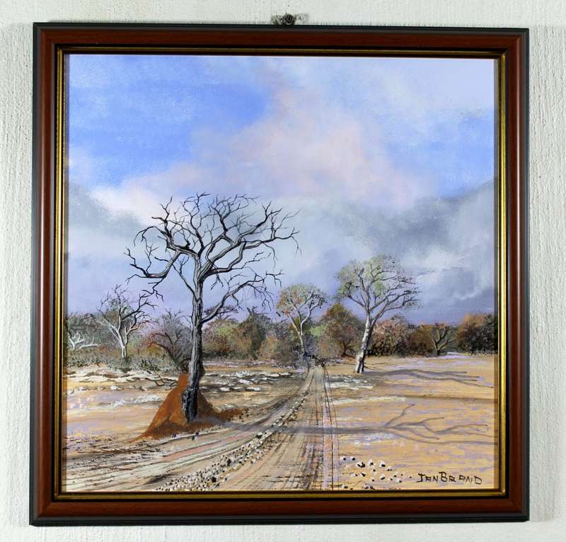 Jan Brand - Bosveld scene