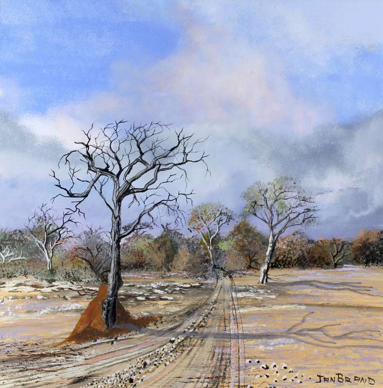 Jan Brand - Bosveld scene