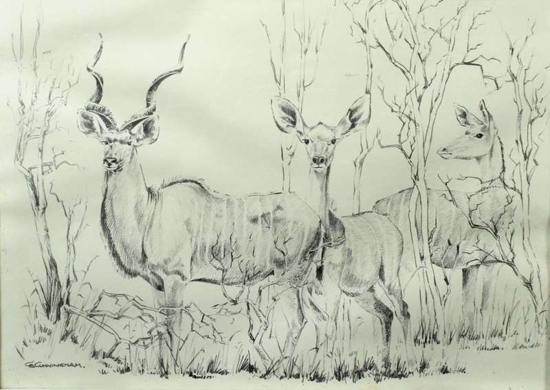 B Cunningham - Kudu`s