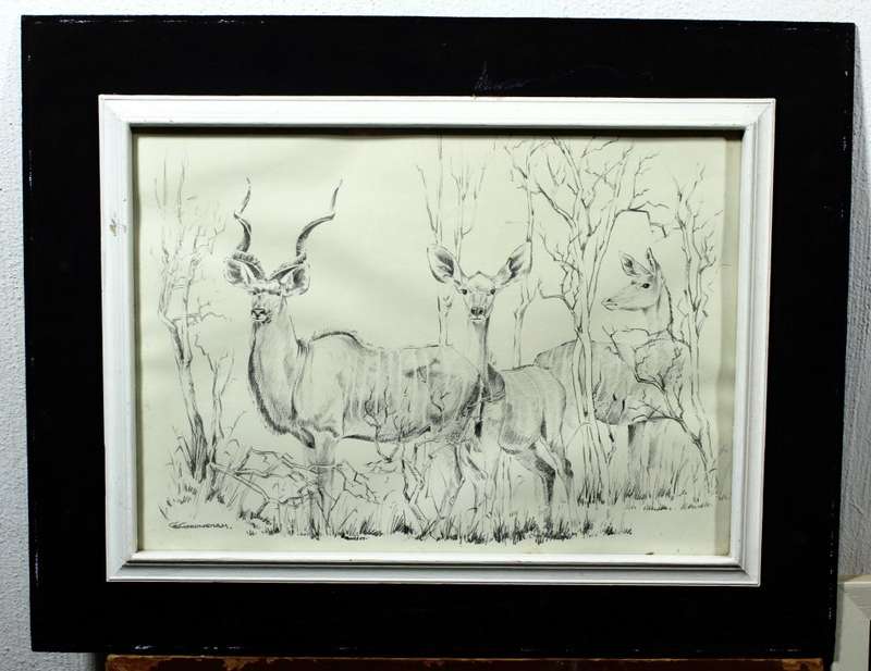 B Cunningham - Kudu`s