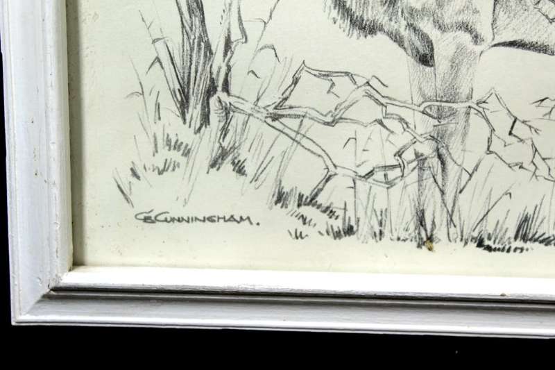 B Cunningham - Kudu`s