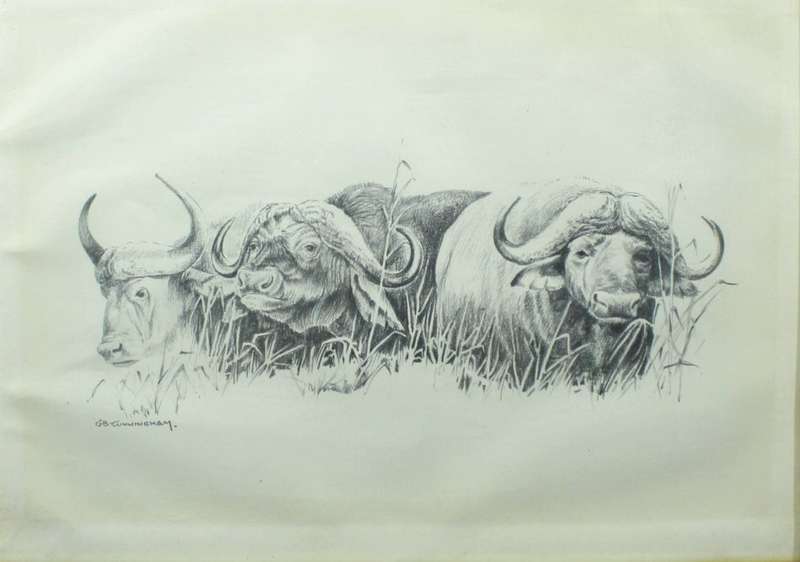 B Cunningham - Buffalo`s