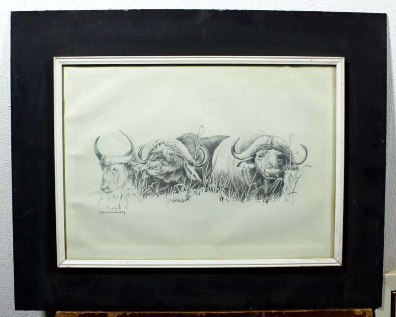 B Cunningham - Buffalo`s