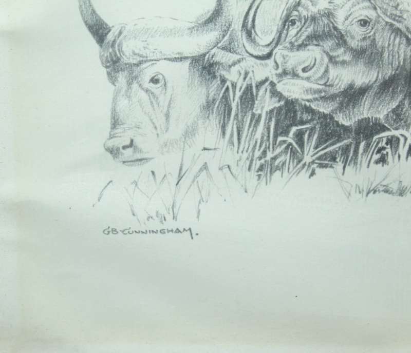 B Cunningham - Buffalo`s