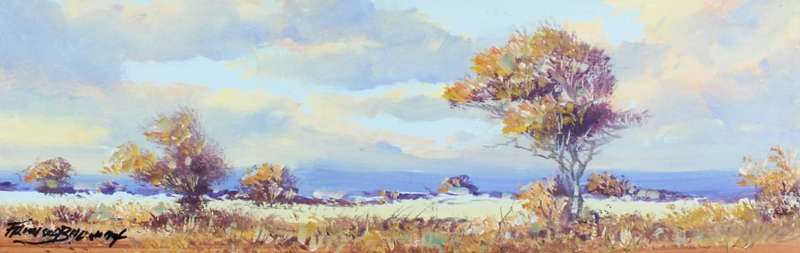 Francois Badenhorst - Expansive landscape