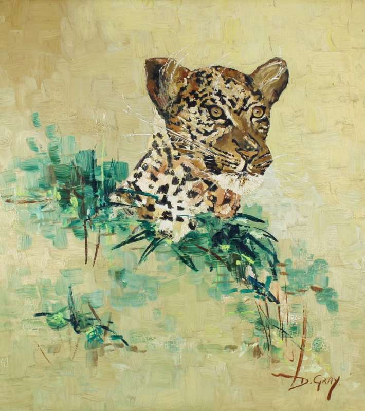 D Grey - Leopard