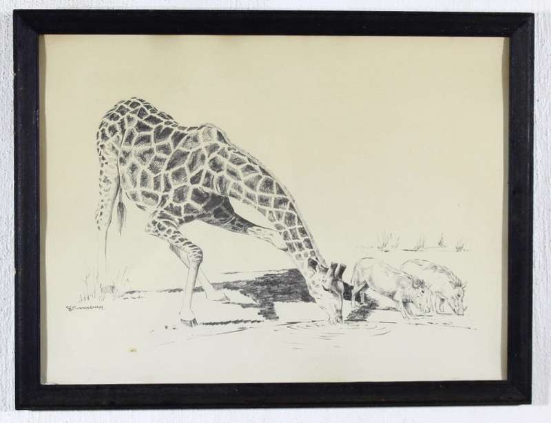 D Cunningham - Giraffe