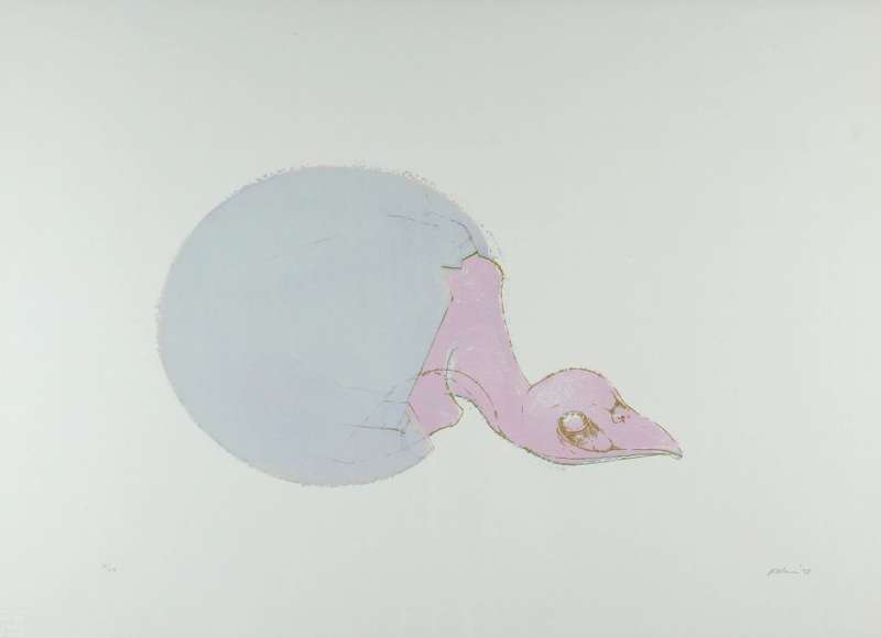 Judith Mason - Hatchling