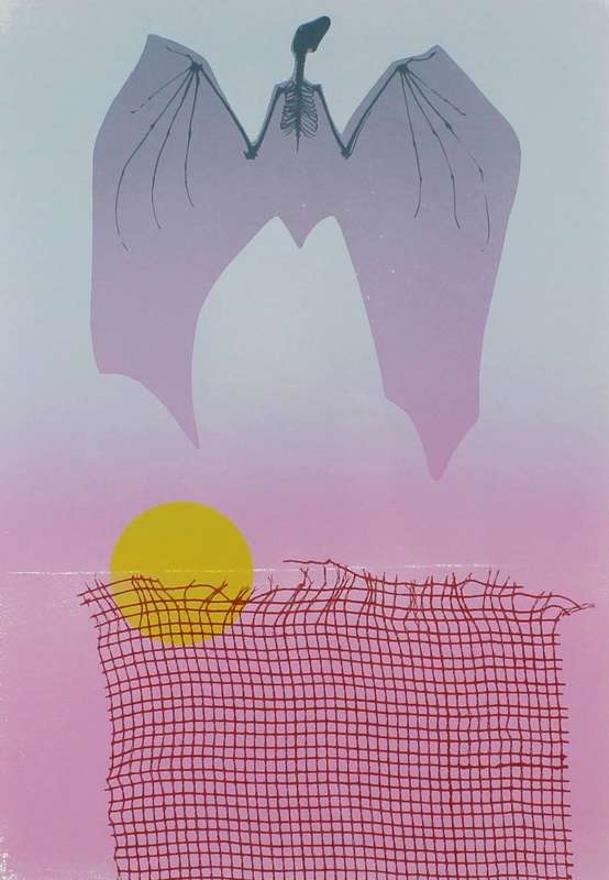 Judith Mason - Bat skeleton