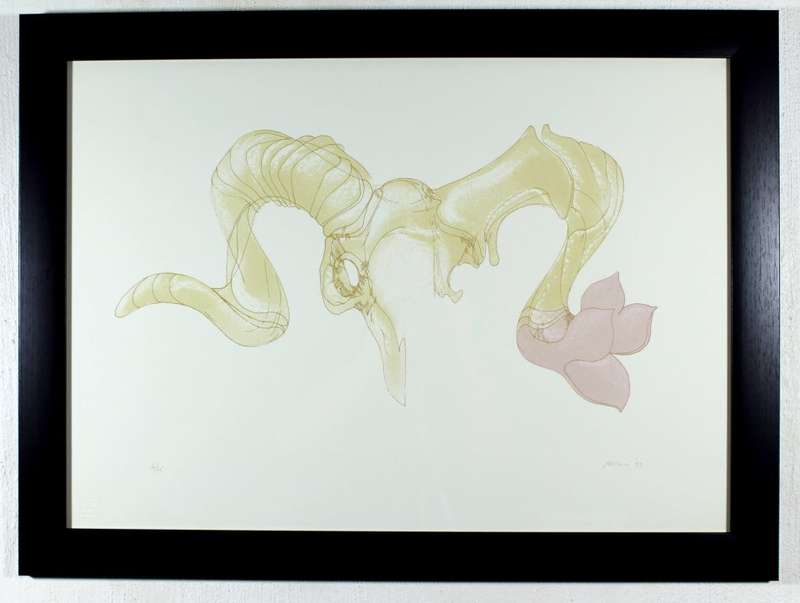 Judith Mason - Goat skull
