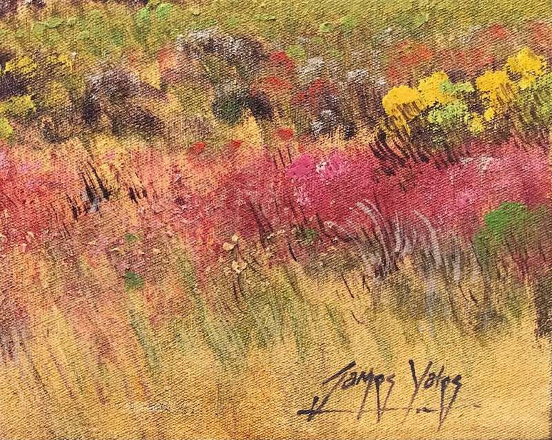 James Yates - Jonkerhoeks Mountains - Magnificent investment art!! - Bid now!