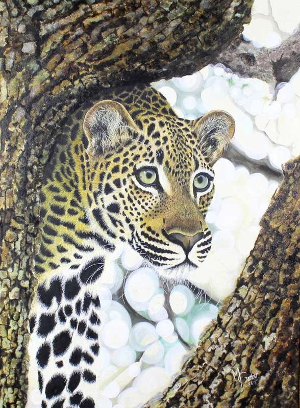 M Gerber - Leopard in a tree