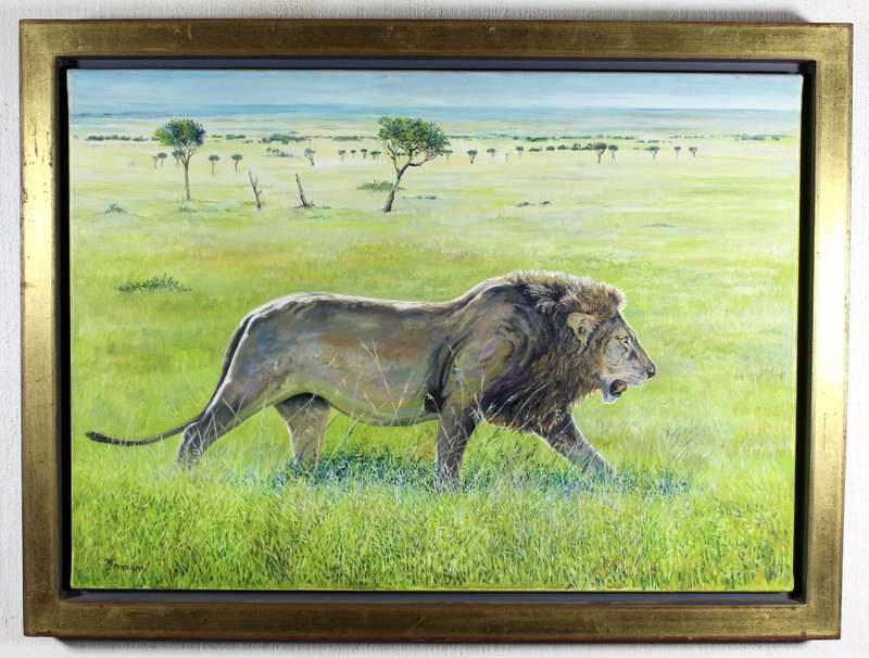 McAllistair- Lion on the prowl