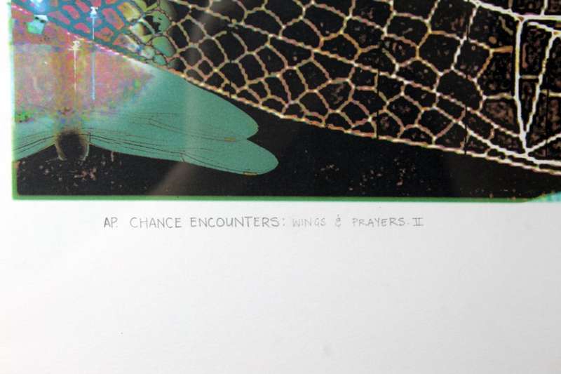 Anni Snyman - wing & prayers IV