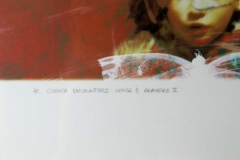 Anni Snyman - wing & prayers II