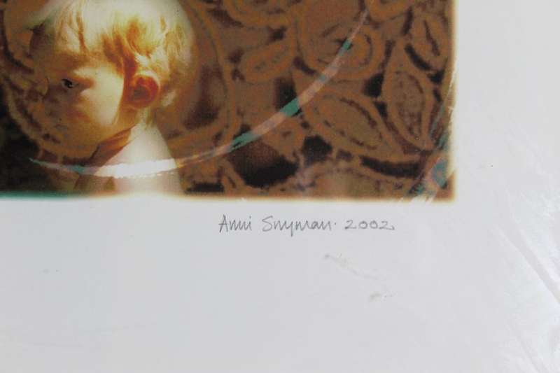 Anni Snyman - wing & prayers II