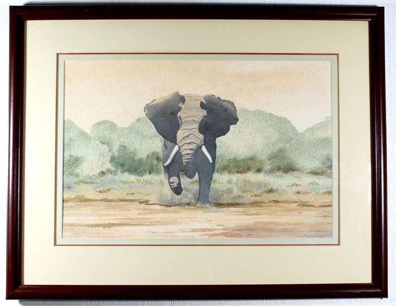Arniedrich - elephant charging