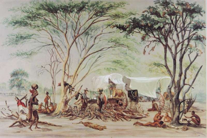 Thomas Baines - Outspan at Koobie under Sweet Gum Tree
