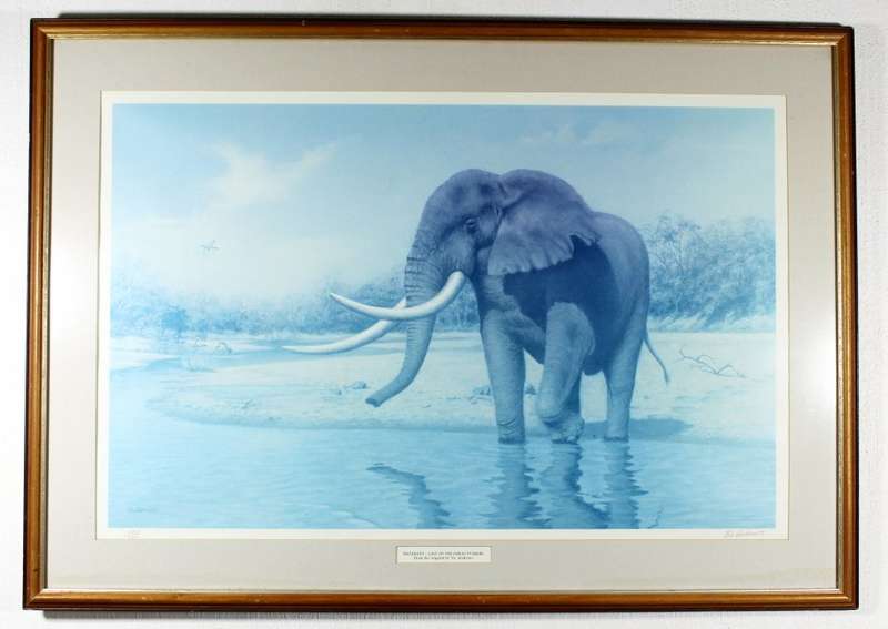 Vic Andrews - Mandleve _ Last of the great tuskers