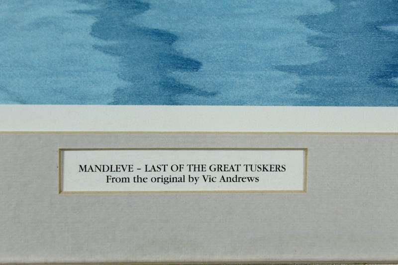 Vic Andrews - Mandleve _ Last of the great tuskers